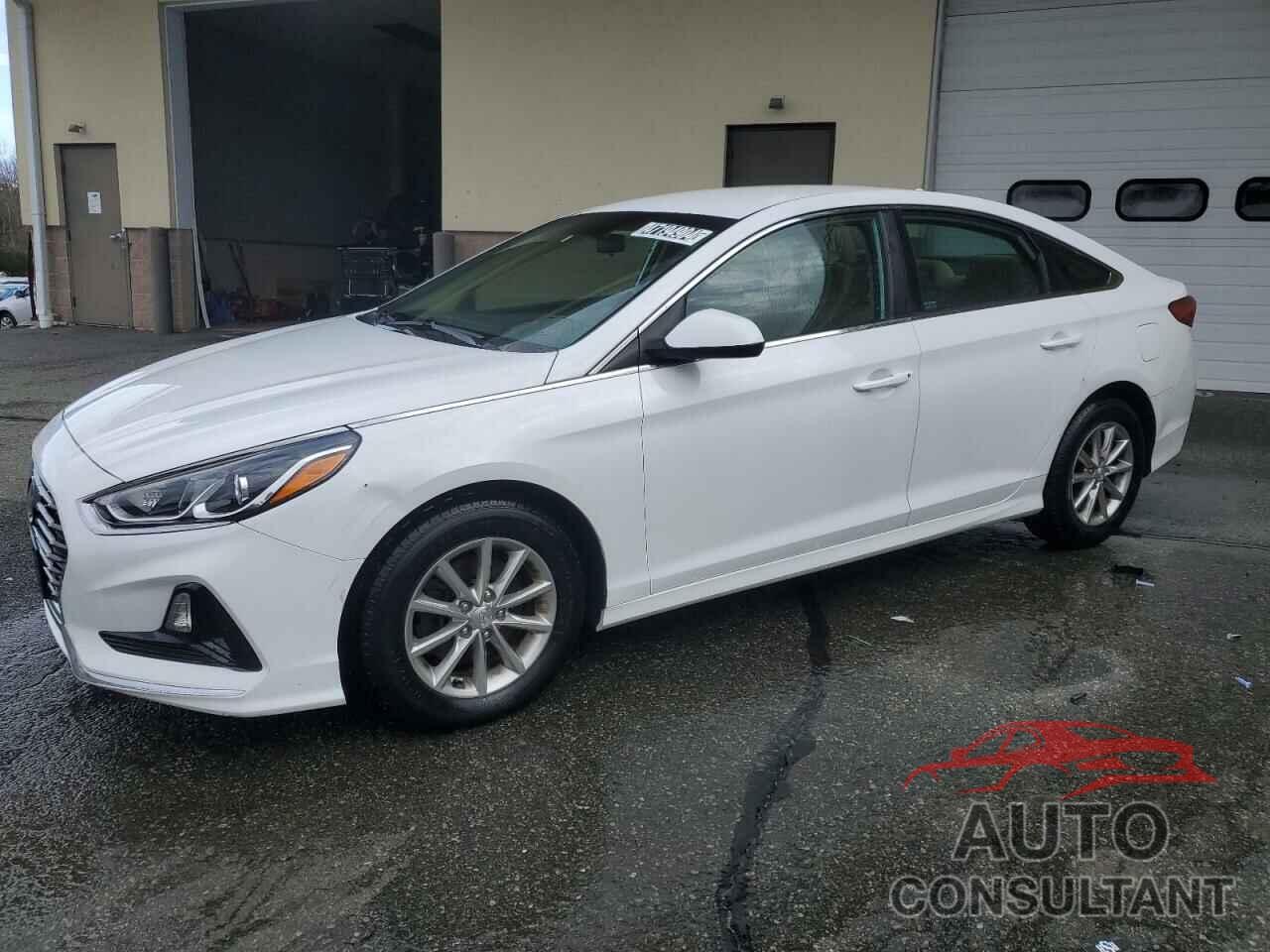 HYUNDAI SONATA 2019 - 5NPE24AFXKH819078