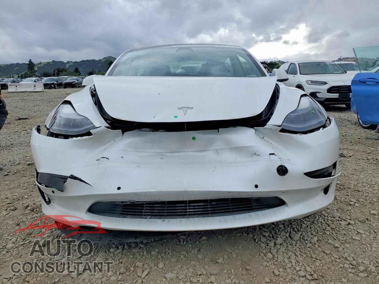 TESLA MODEL 3 2021 - 5YJ3E1EA4MF998439