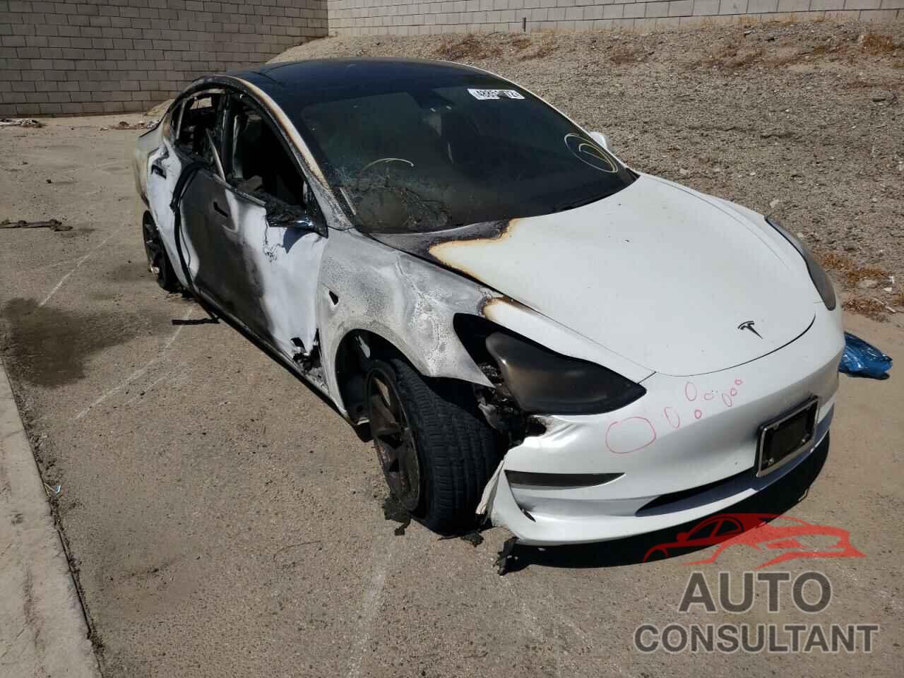 TESLA MODEL 3 2019 - 5YJ3E1EA4KF483566