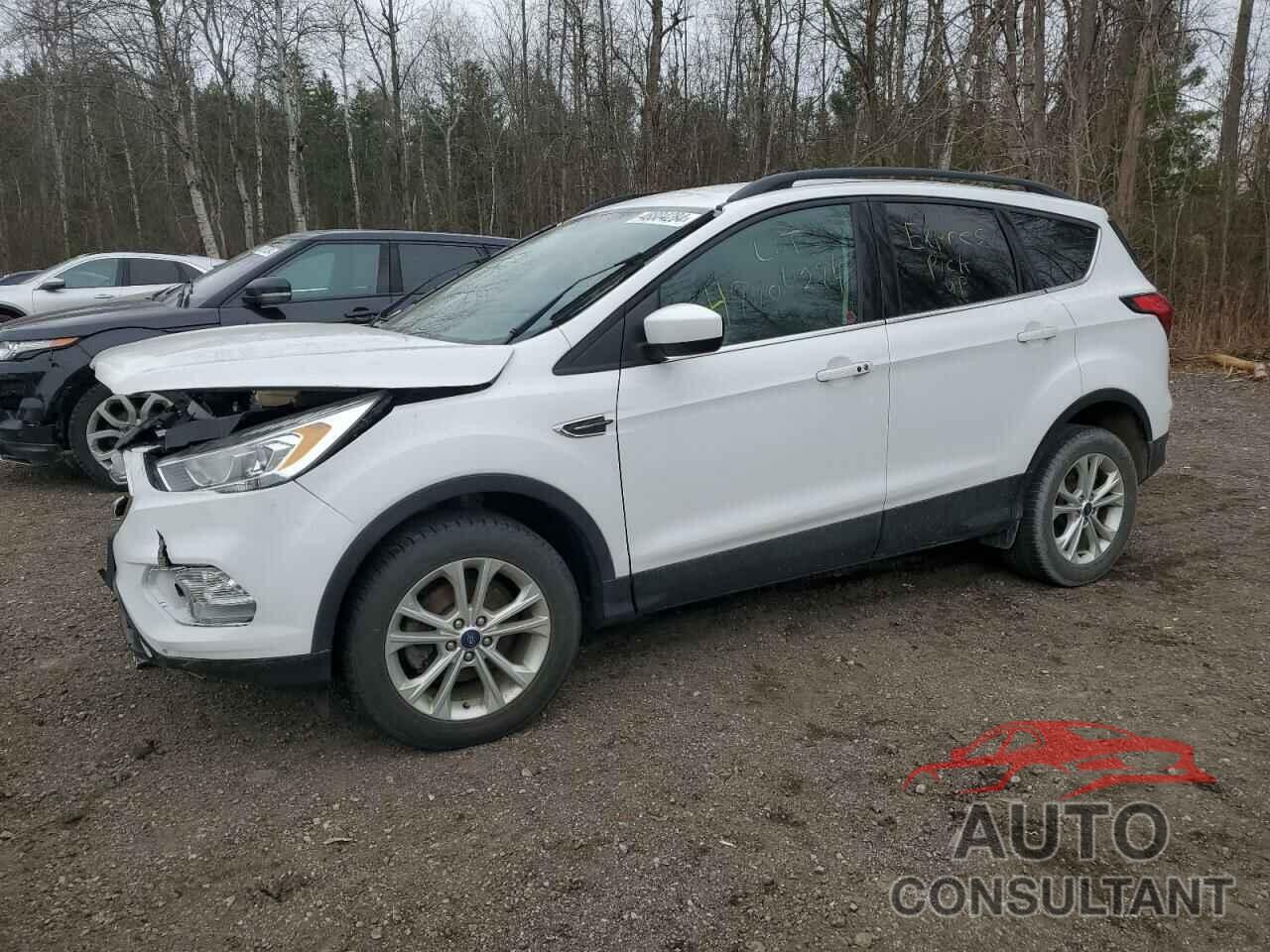 FORD ESCAPE 2019 - 1FMCU0HD2KUB90285