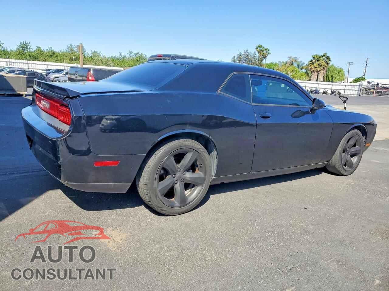 DODGE CHALLENGER 2013 - 2C3CDYAGXDH676540