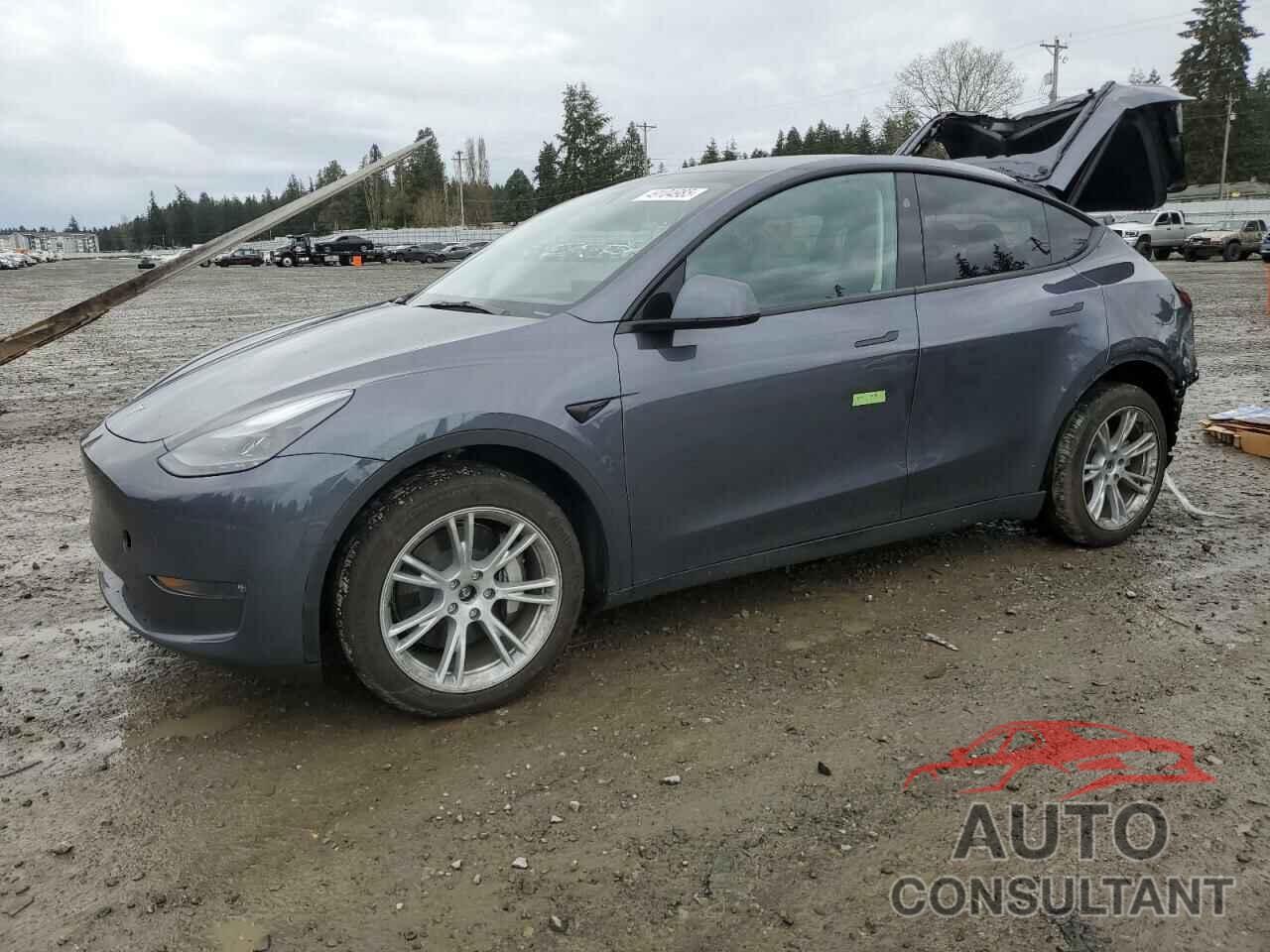 TESLA MODEL Y 2023 - 7SAYGDEE2PF916252