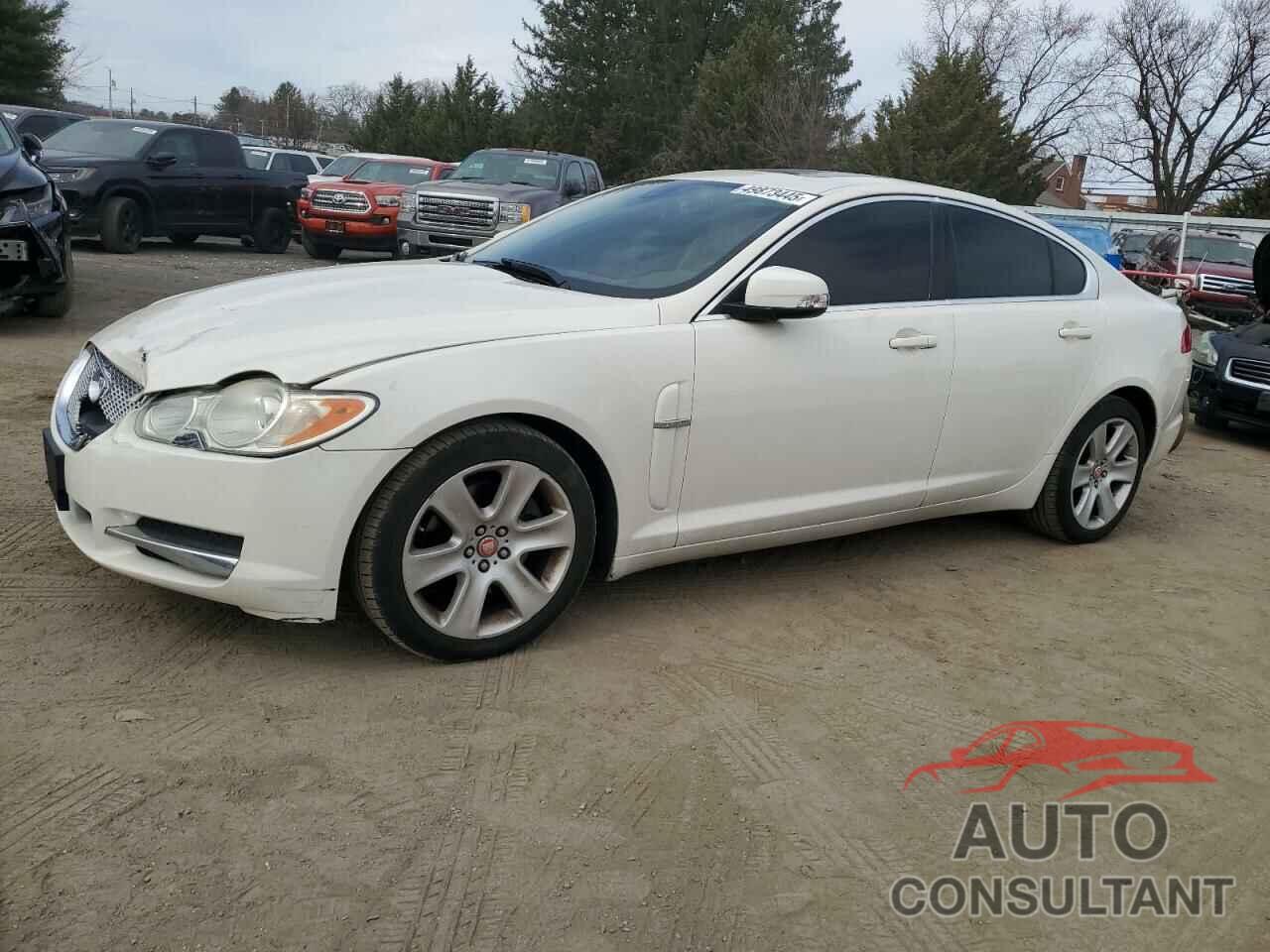 JAGUAR XF 2009 - SAJWA05B79HR41432