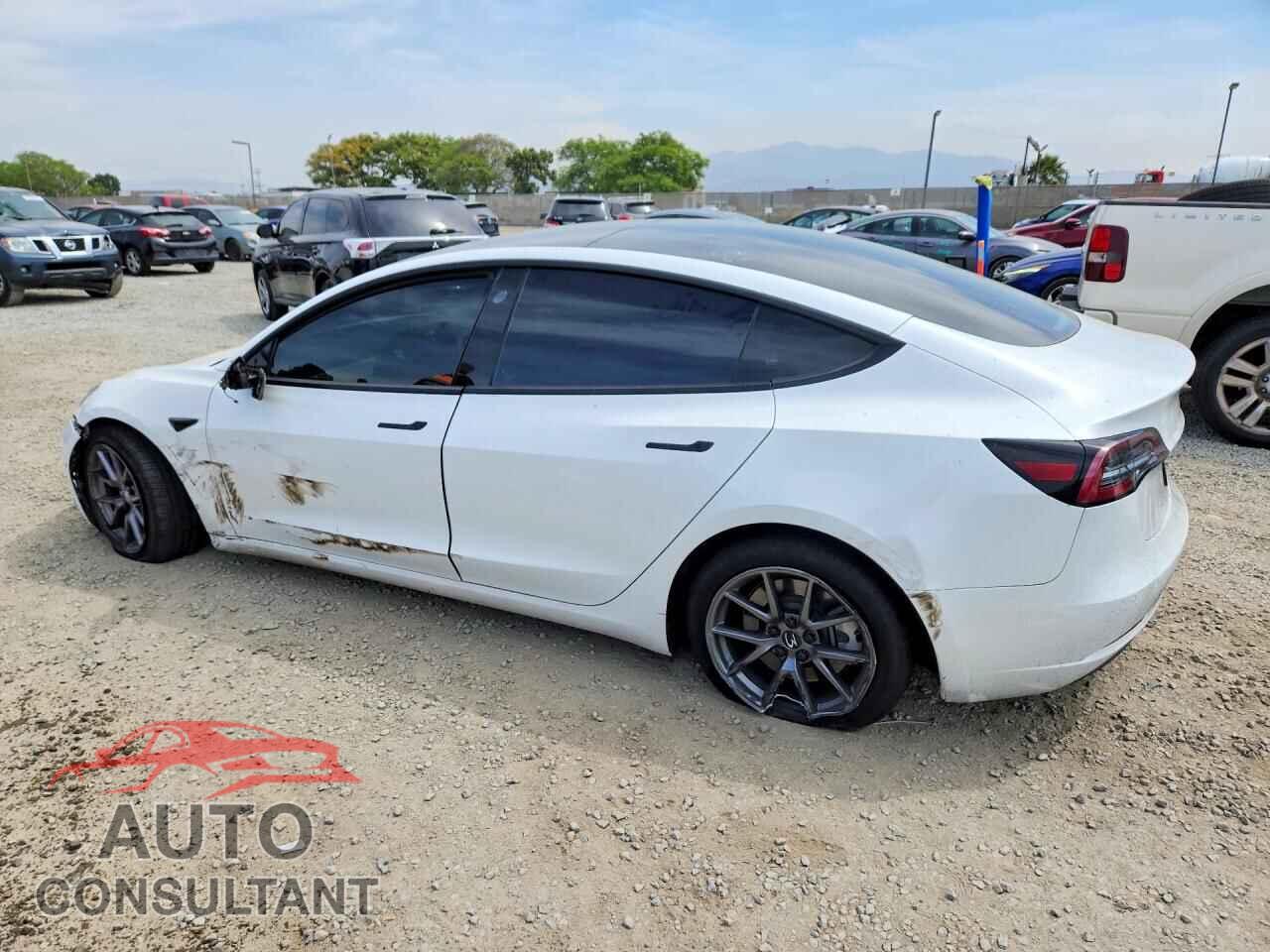TESLA MODEL 3 2021 - 5YJ3E1EA2MF027911