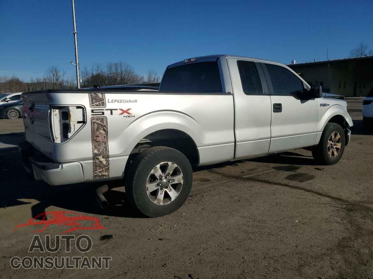 FORD F-150 2013 - 1FTFX1EFXDFA08053