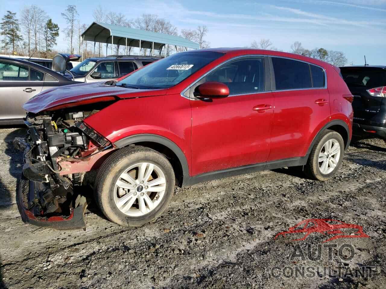 KIA SPORTAGE 2019 - KNDPM3AC3K7624298
