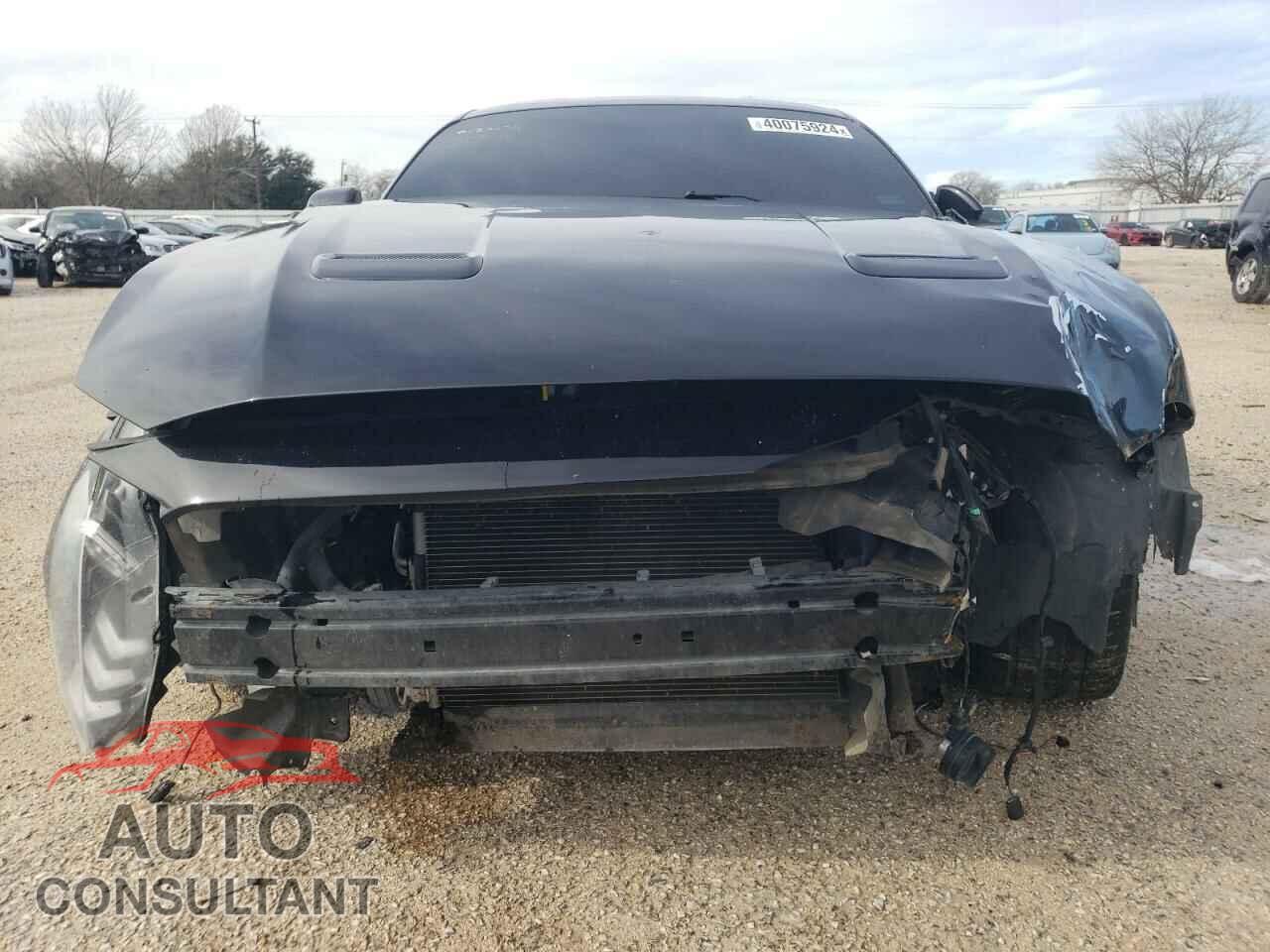 FORD MUSTANG 2019 - 1FA6P8CF3K5143301