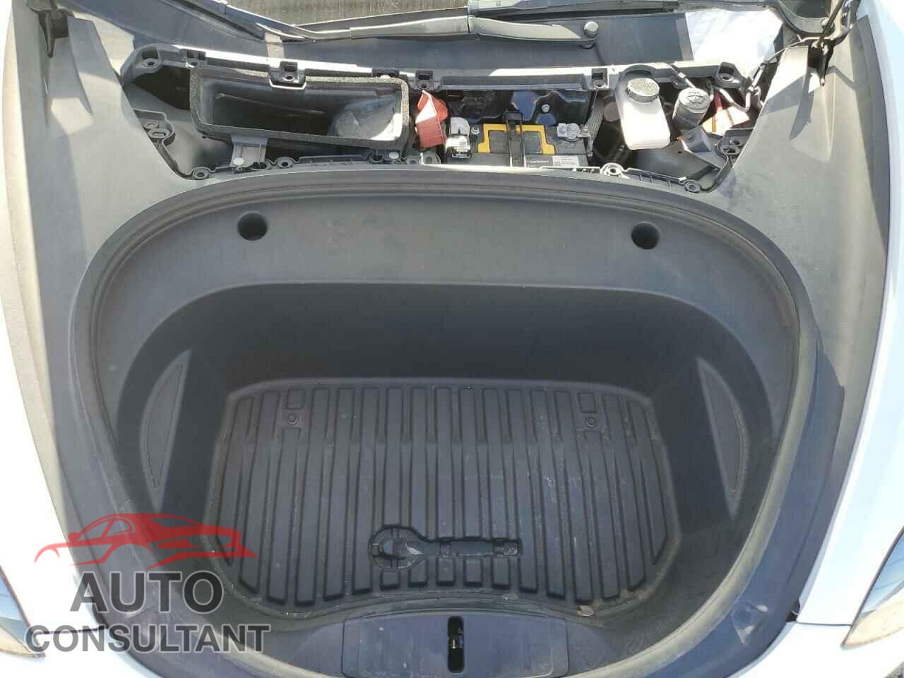 TESLA MODEL 3 2021 - 5YJ3E1EA3MF092220