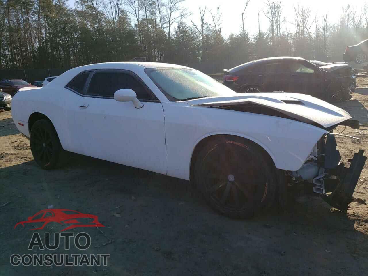 DODGE CHALLENGER 2019 - 2C3CDZAG5KH744522