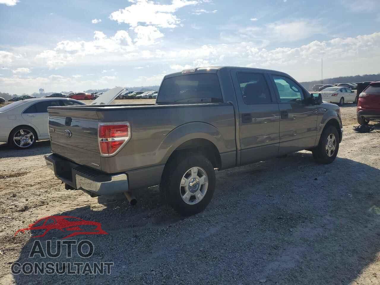 FORD F150 2013 - 1FTFW1CF9DFD49417