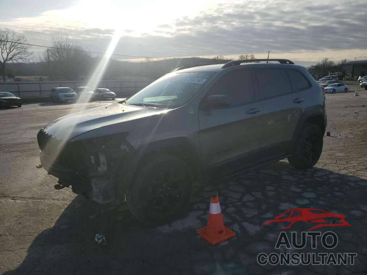JEEP CHEROKEE 2016 - 1C4PJMBS9GW234601