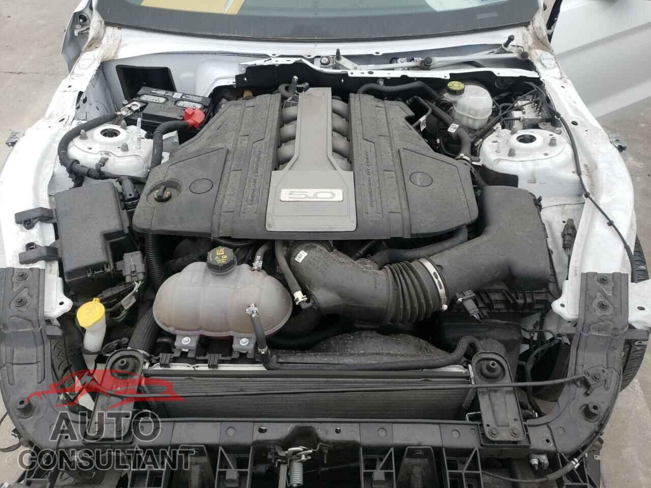 FORD MUSTANG 2019 - 1FA6P8CF7K5192761
