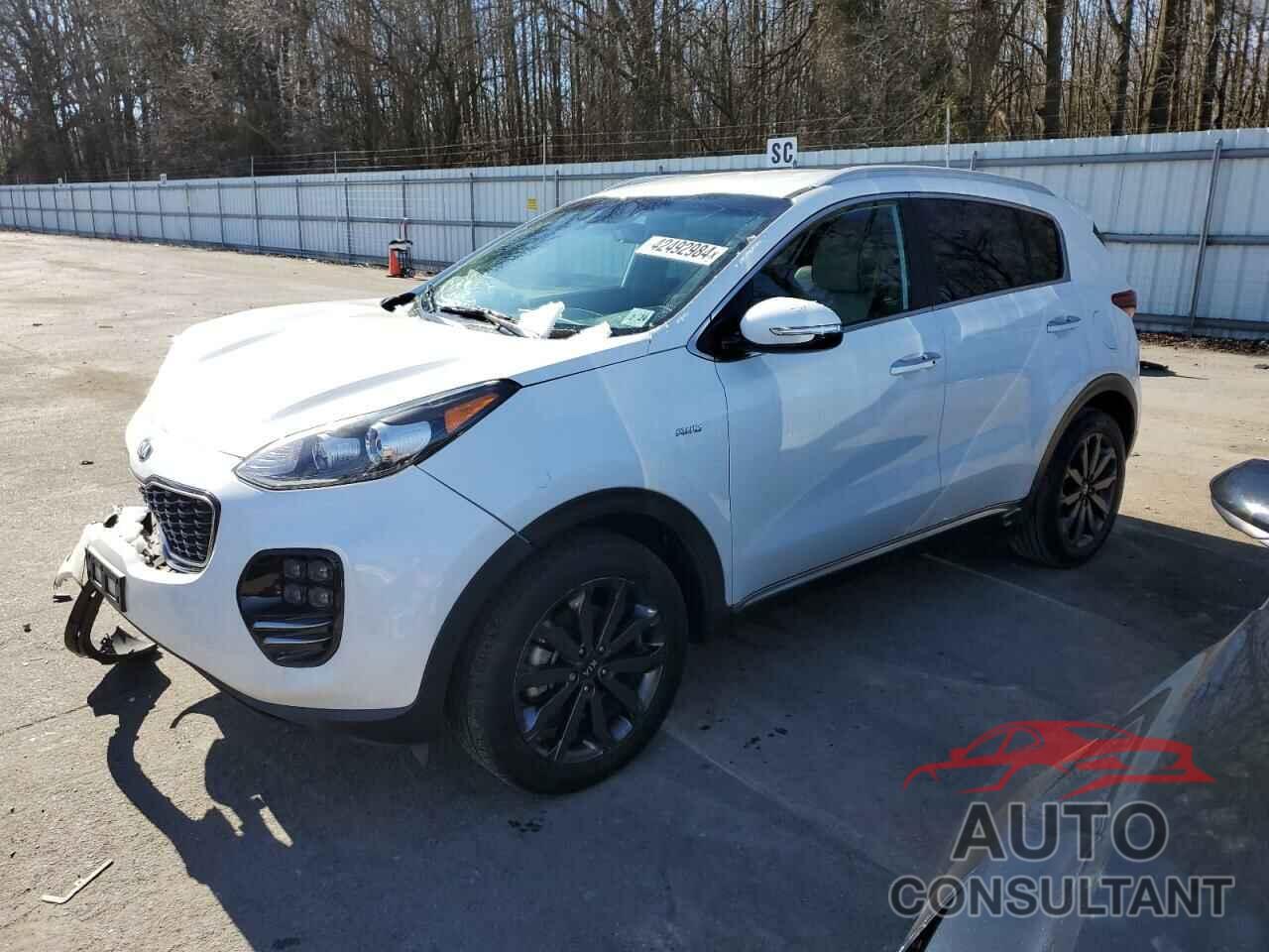 KIA SPORTAGE 2019 - KNDPNCAC5K7564666