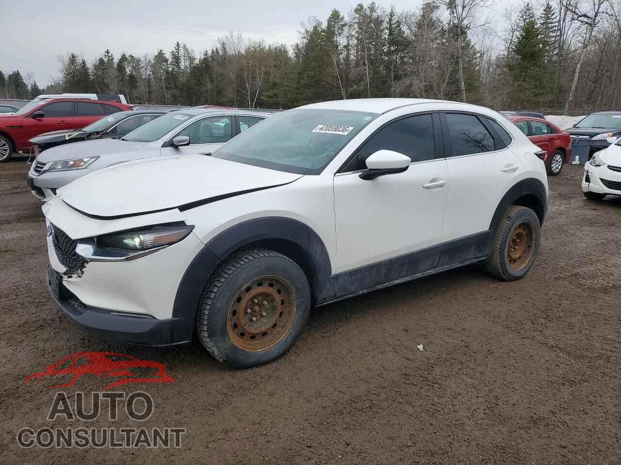 MAZDA CX30 2021 - 3MVDMAB76MM201974