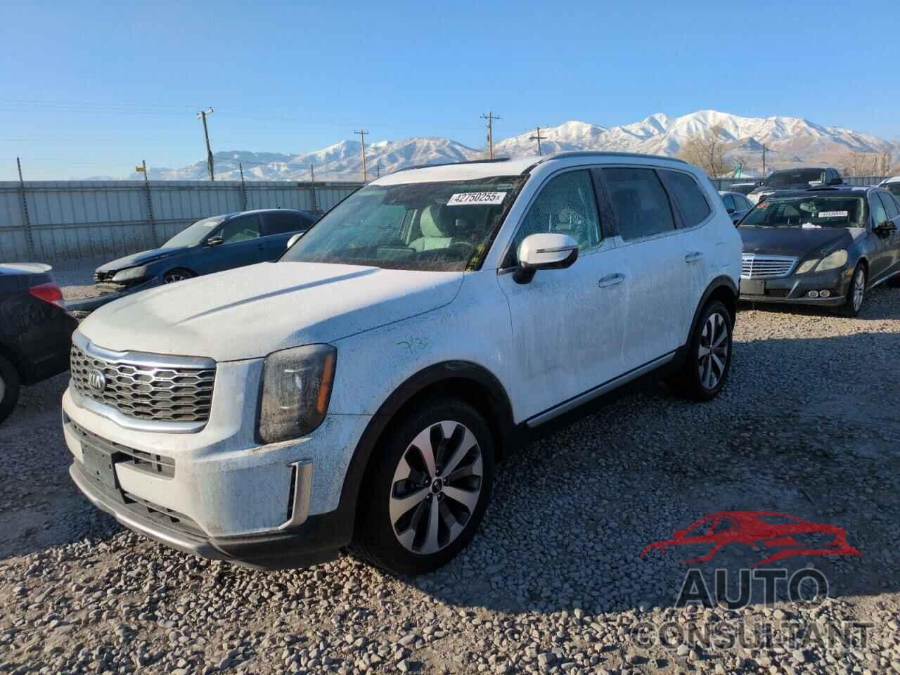 KIA TELLURIDE 2020 - 5XYP64HC8LG007294