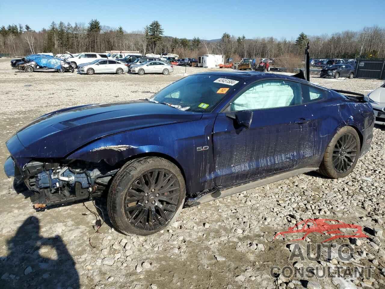 FORD MUSTANG 2019 - 1FA6P8CF0K5146477