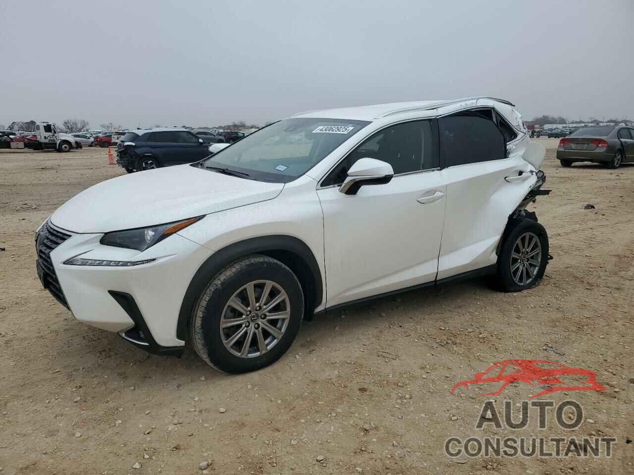 LEXUS NX 2020 - JTJAARBZ1L2176885