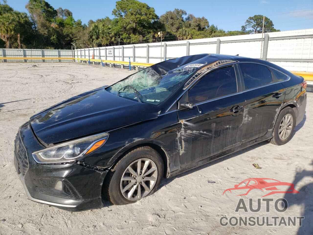 HYUNDAI SONATA 2019 - 5NPE24AF0KH802614