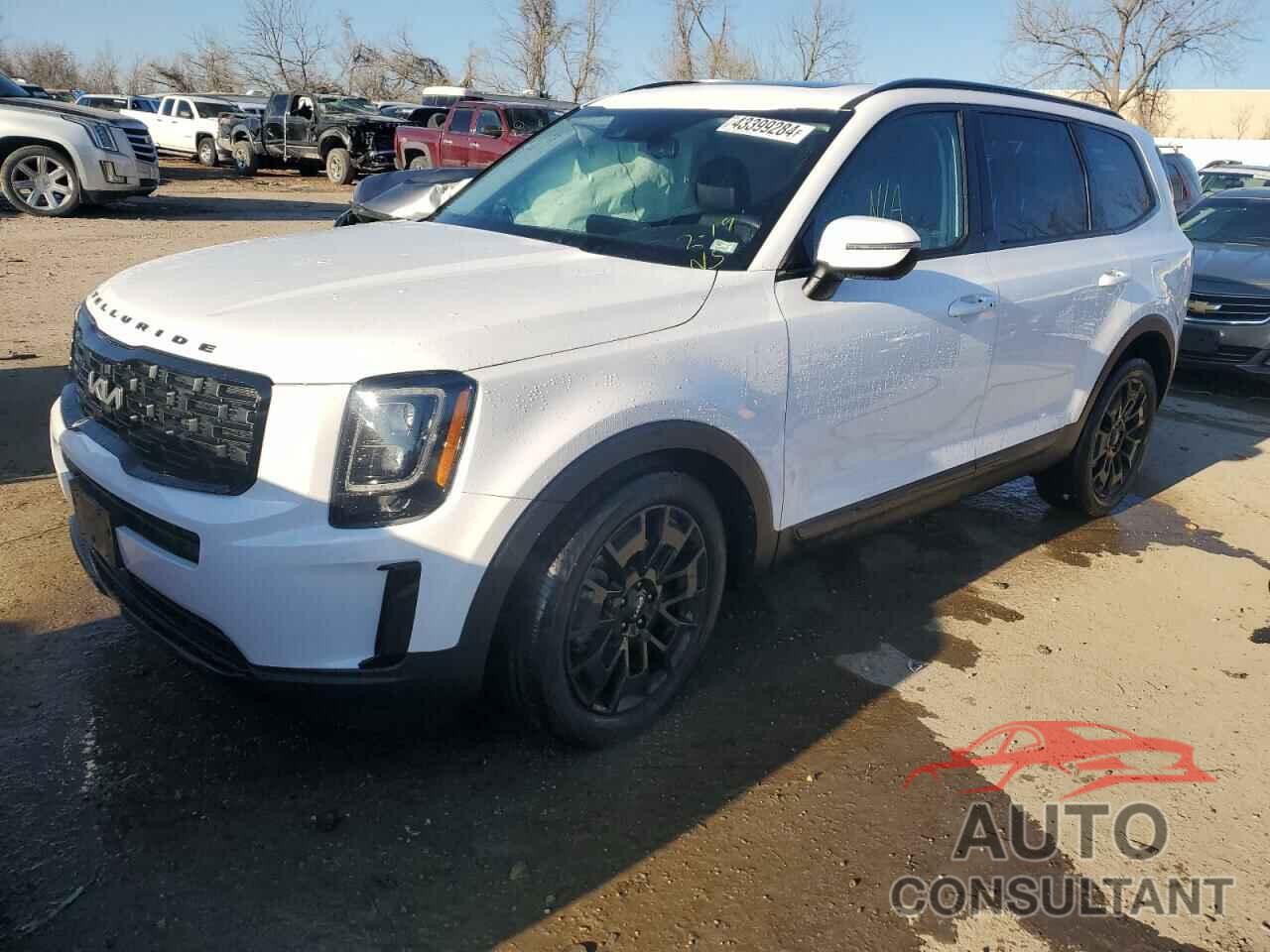 KIA TELLURIDE 2022 - 5XYP3DHC0NG208540