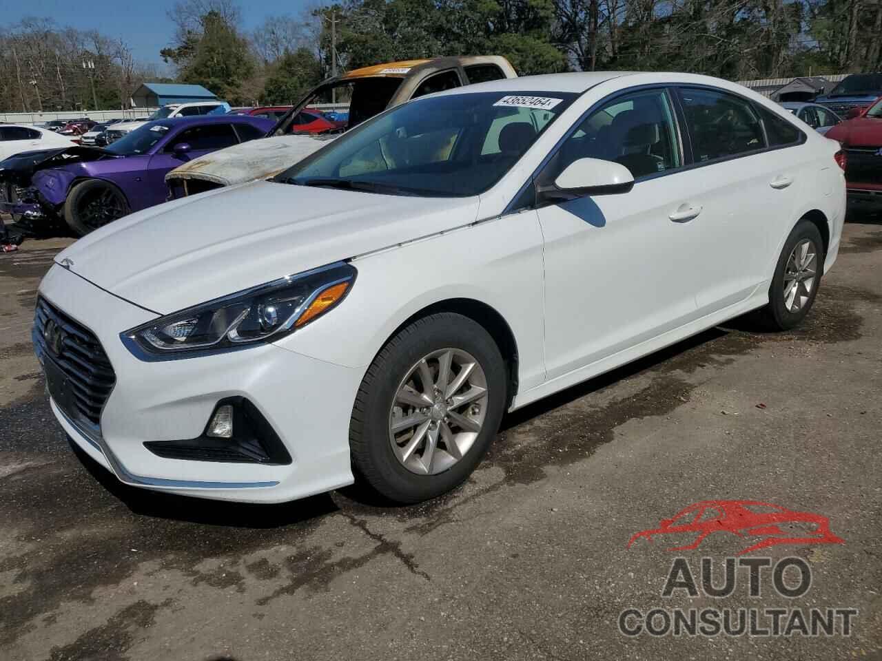 HYUNDAI SONATA 2019 - 5NPE24AF8KH753520