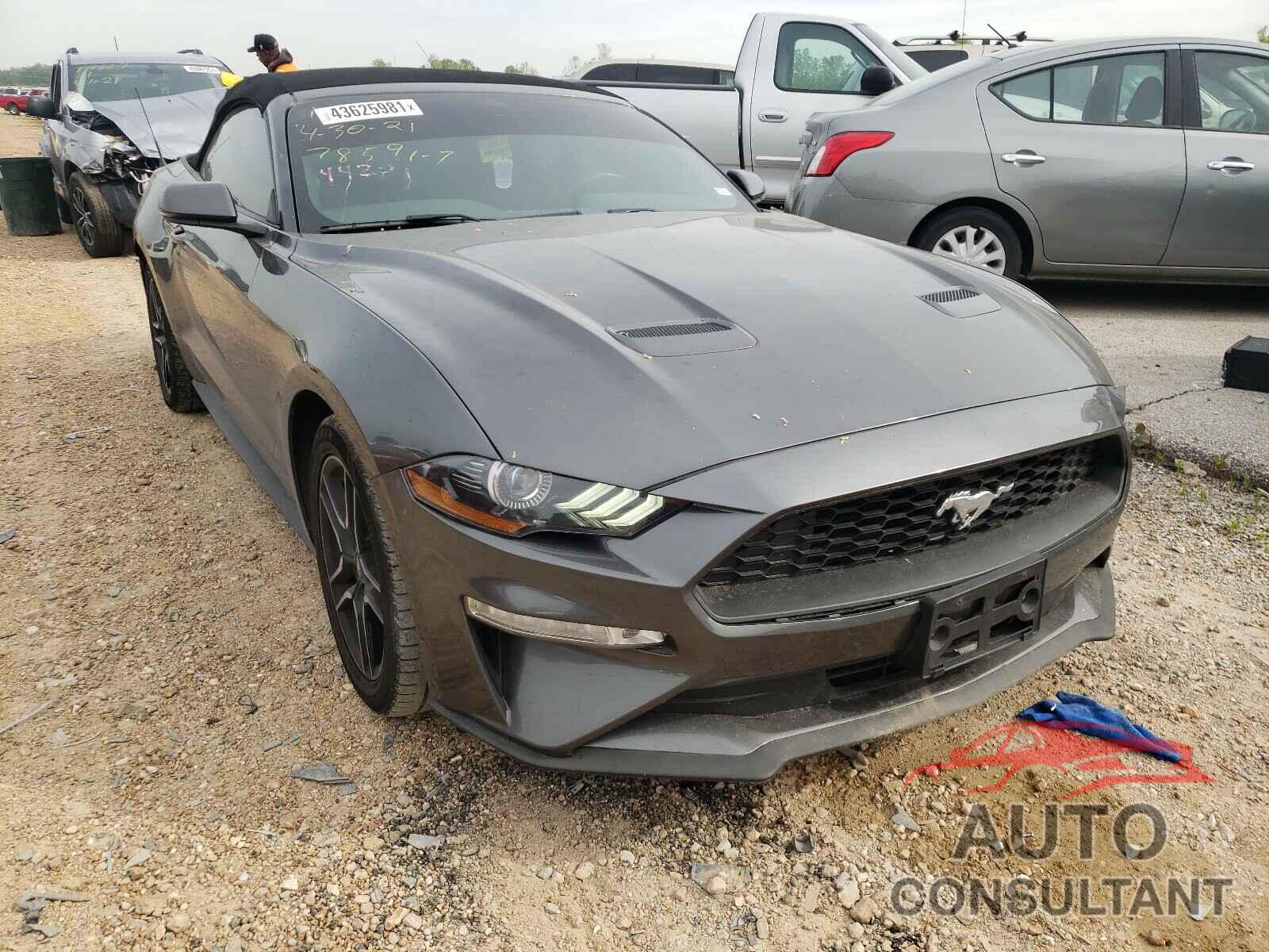 FORD MUSTANG 2019 - 1FATP8UH0K5135742