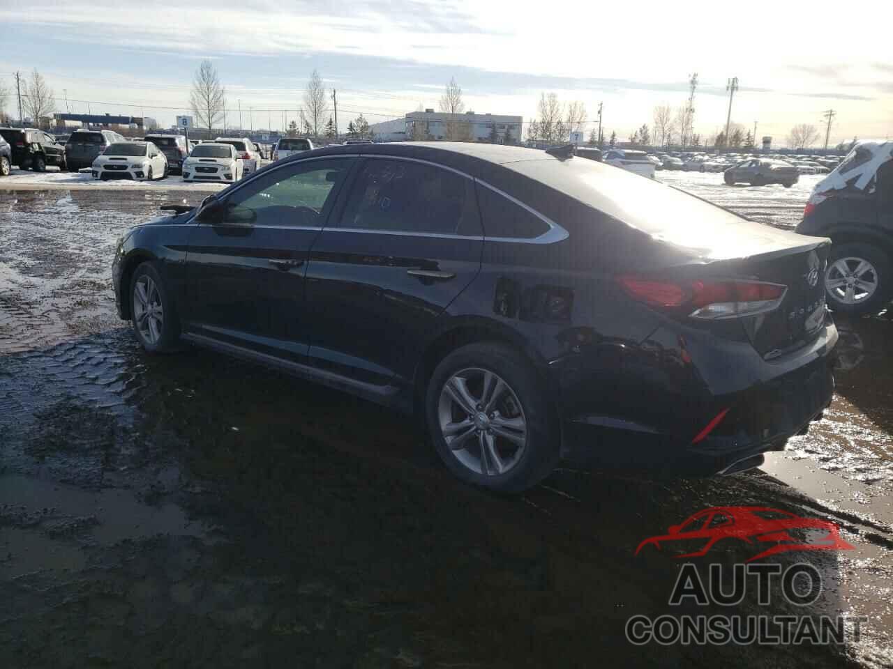 HYUNDAI SONATA 2019 - 5NPE34AF8KH770069