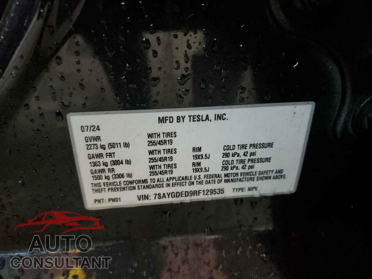 TESLA MODEL Y 2024 - 7SAYGDED9RF129535