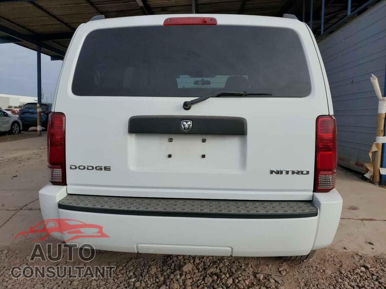 DODGE NITRO 2011 - 1D4PT4GK6BW528939