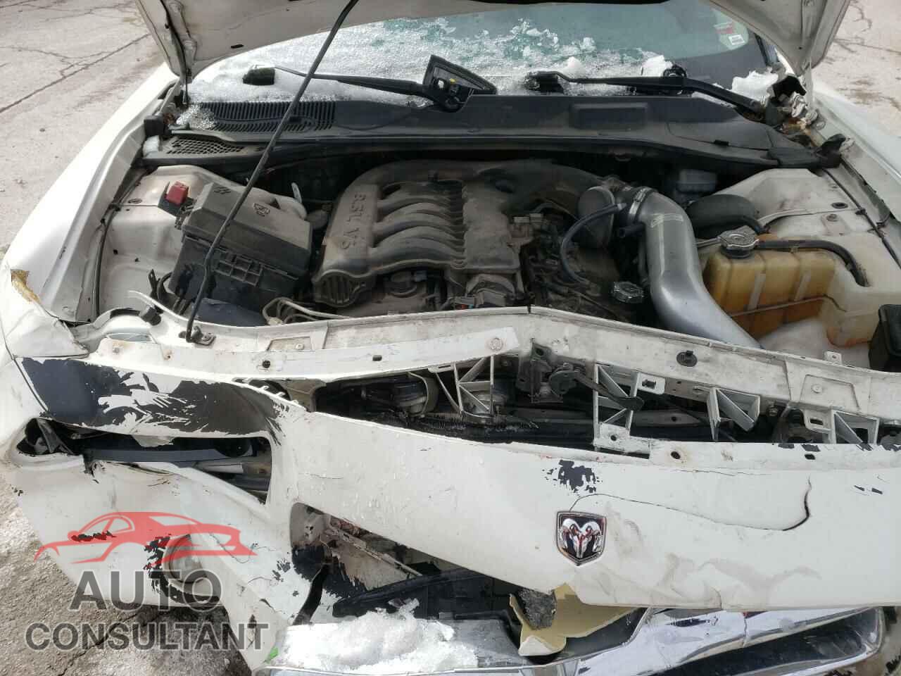 DODGE CHARGER 2010 - 2B3CA3CV9AH187160