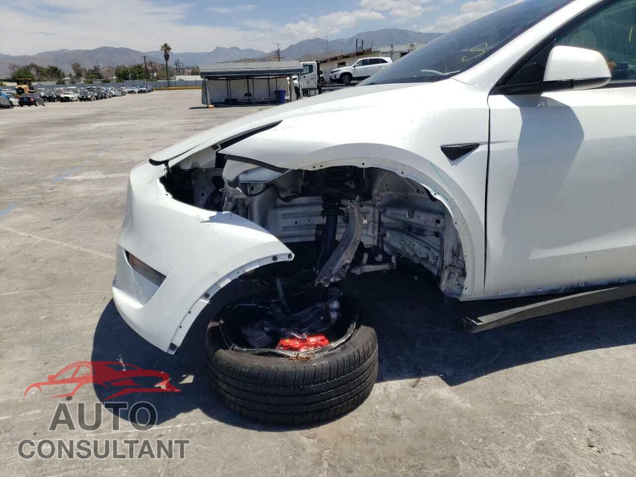 TESLA MODEL Y 2022 - 7SAYGDEF7NF341281