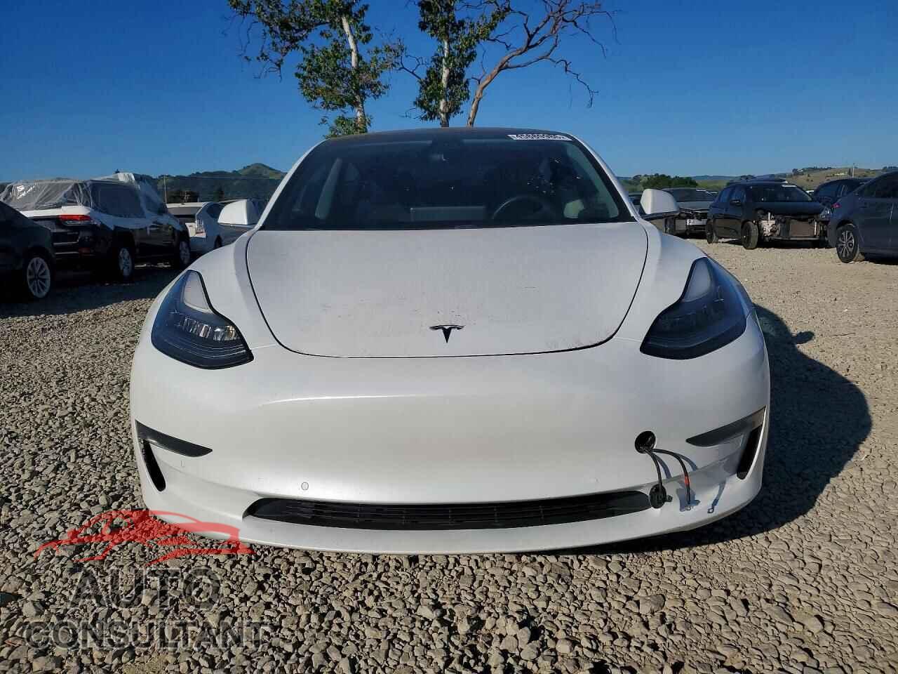 TESLA MODEL 3 2019 - 5YJ3E1EAXKF472491