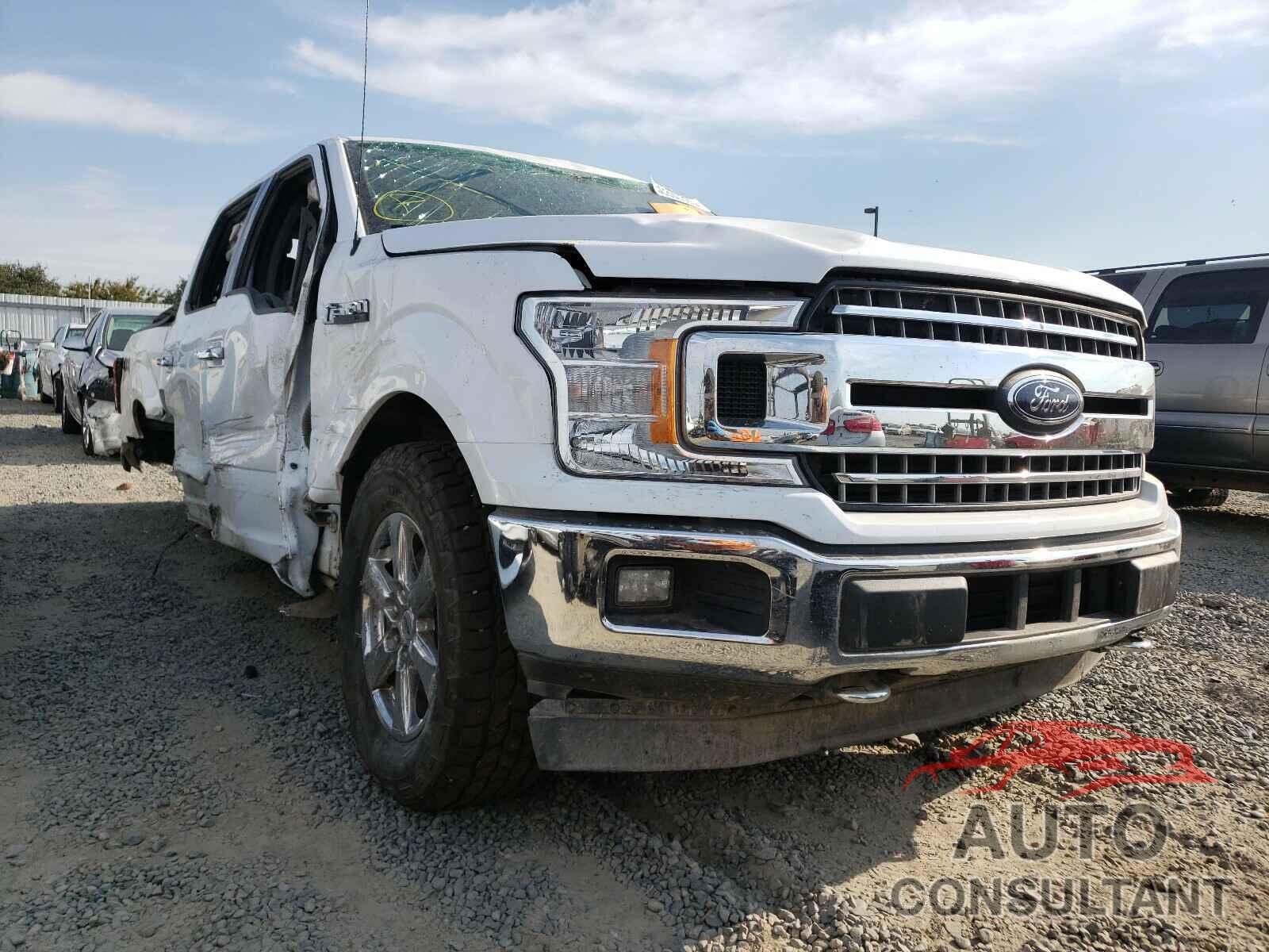 FORD F150 2019 - 1FTEW1EP0KKC22111