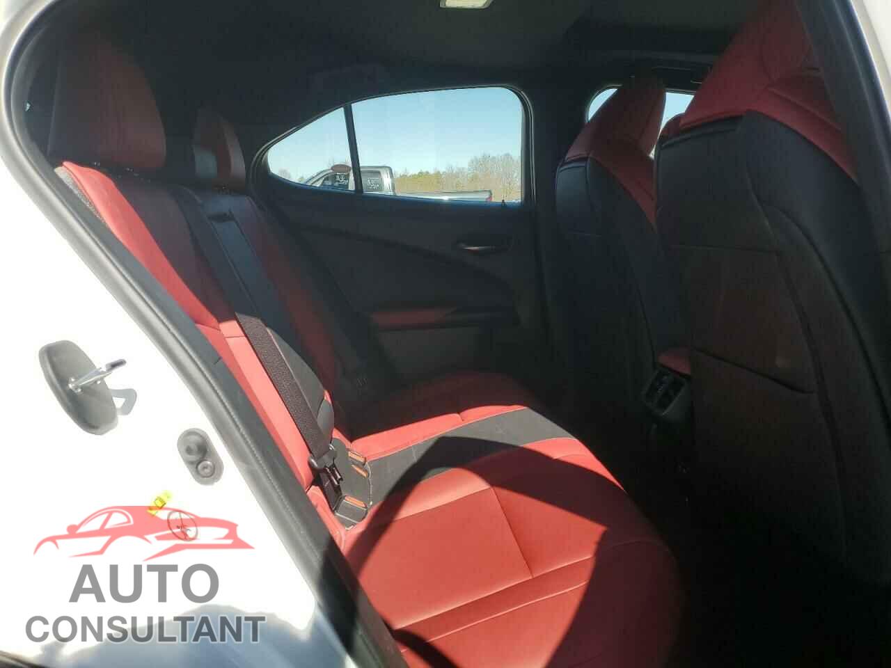 LEXUS UX 200 2019 - JTHY3JBH4K2010023