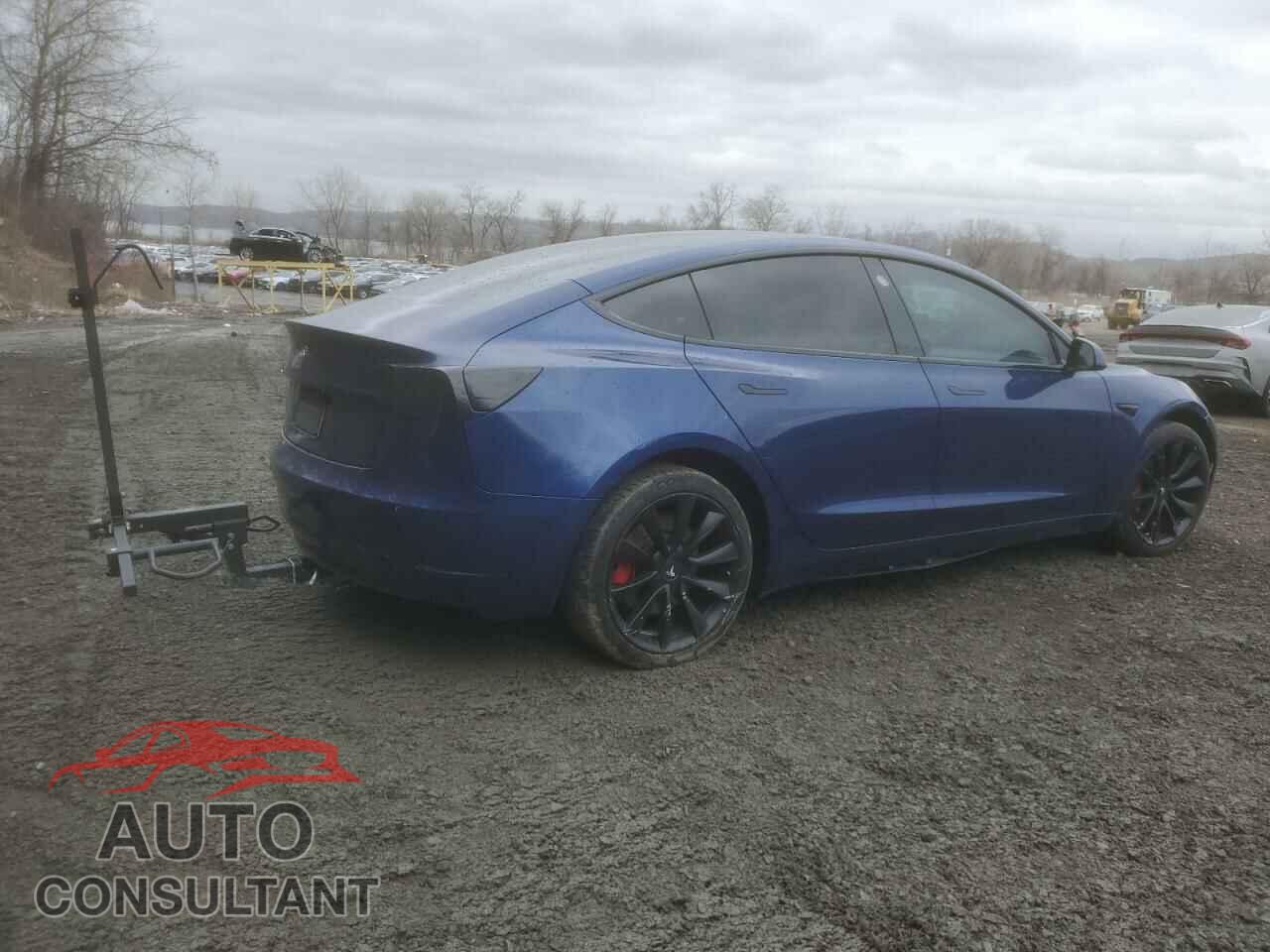 TESLA MODEL 3 2019 - 5YJ3E1EA9KF311517