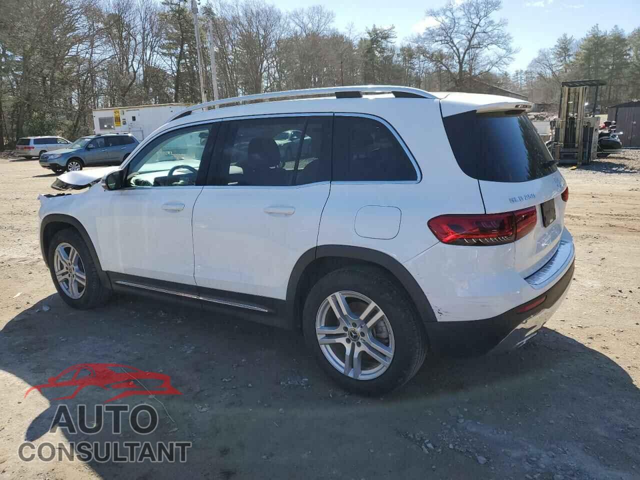MERCEDES-BENZ GLB-CLASS 2020 - W1N4M4HB2LW041789