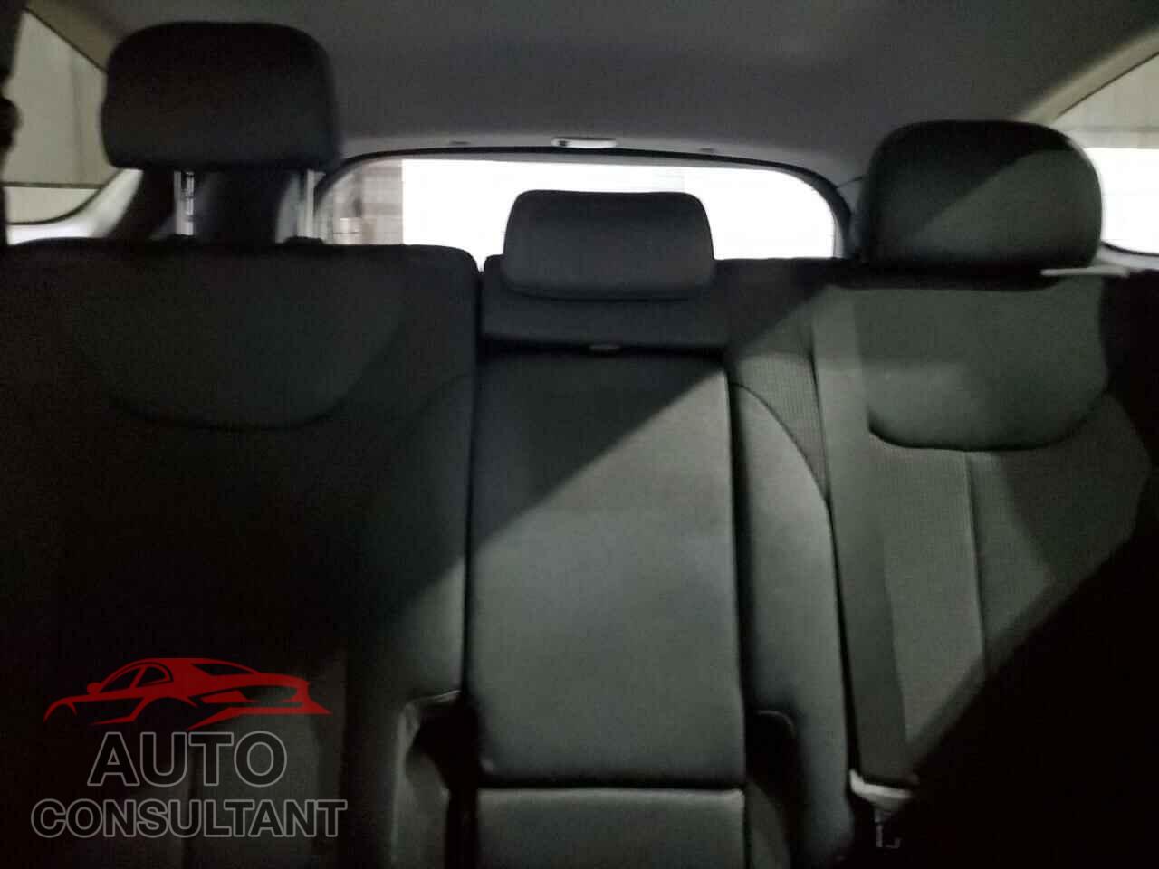 HYUNDAI SANTA FE 2019 - 5NMS3CAD3KH008163