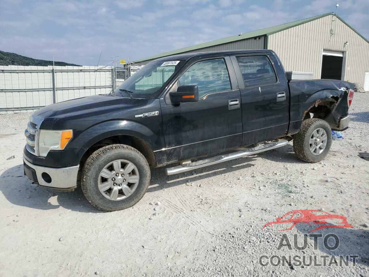 FORD F-150 2009 - 1FTRW14859FA89764