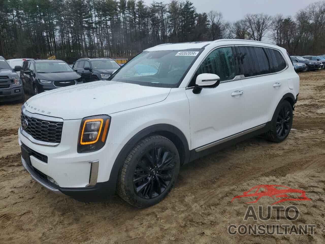 KIA TELLURIDE 2020 - 5XYP5DHCXLG064793