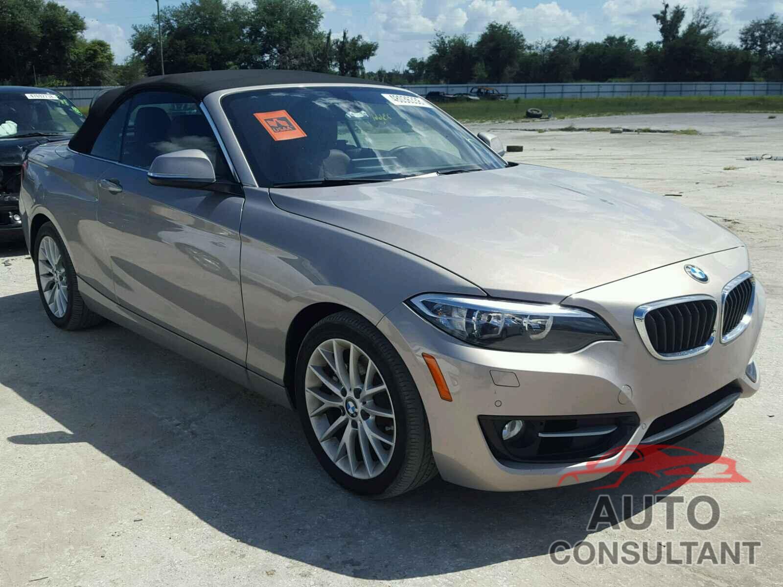 BMW 228 I 2016 - WBA1K9C54GV710524