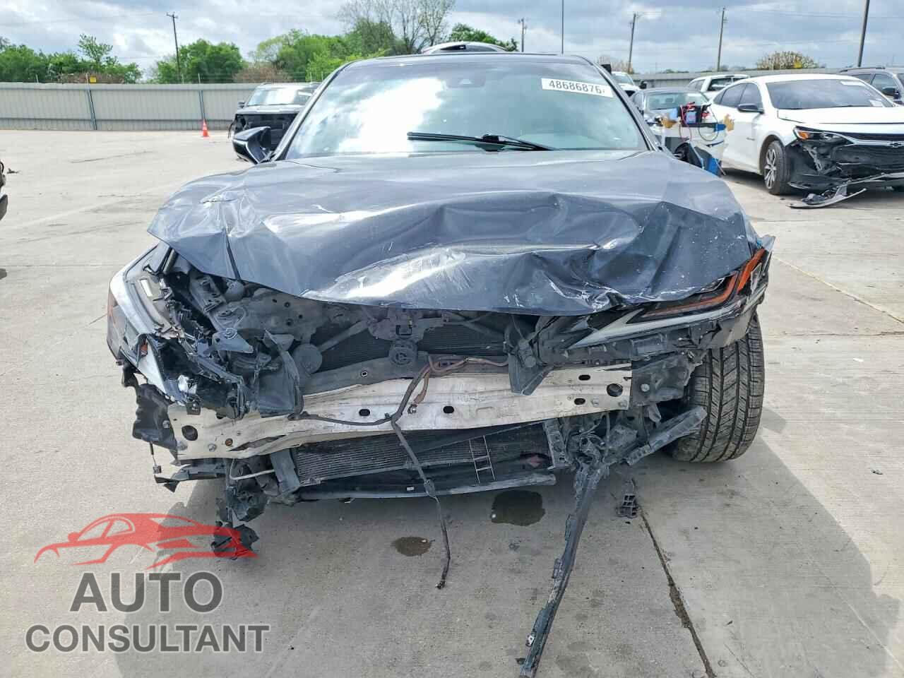 LEXUS ES300 2019 - JTHB21B19K2029307