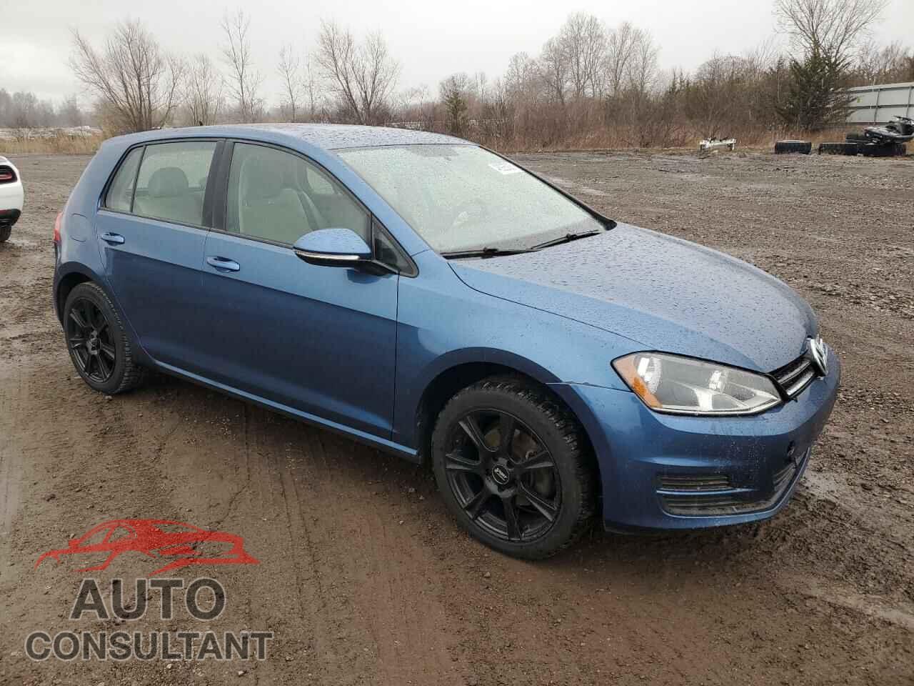 VOLKSWAGEN GOLF 2017 - 3VW217AU4HM016580