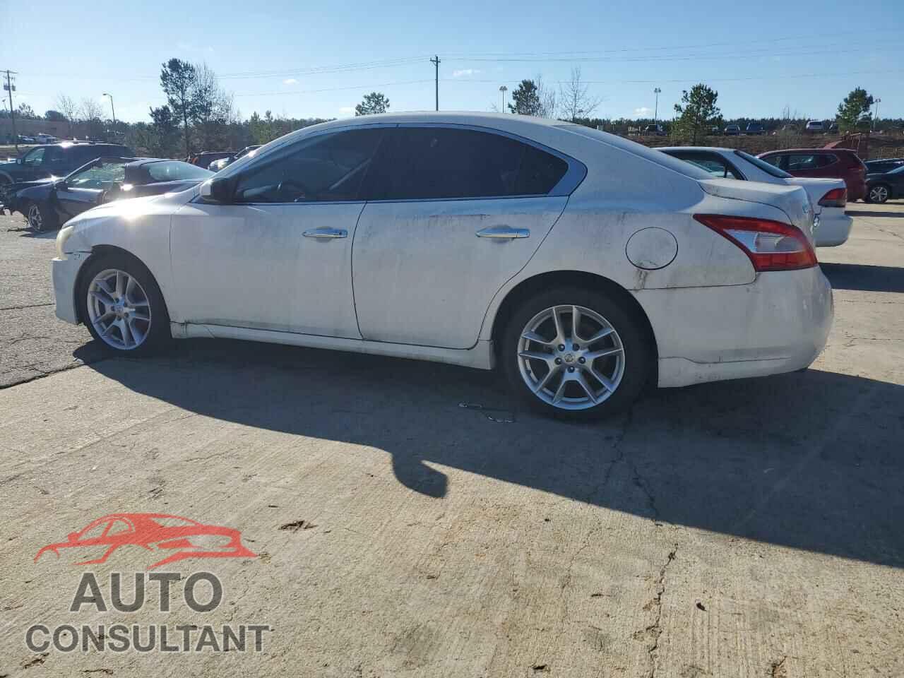 NISSAN MAXIMA 2011 - 1N4AA5AP8BC845096