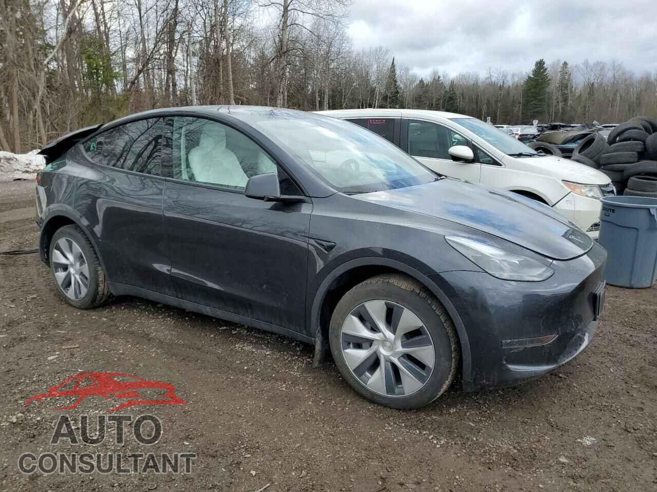 TESLA MODEL Y 2024 - 7SAYGDED5RF027617