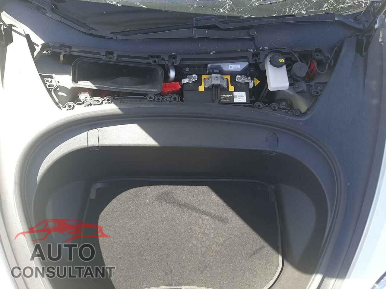 TESLA MODEL 3 2019 - 5YJ3E1EB1KF365113