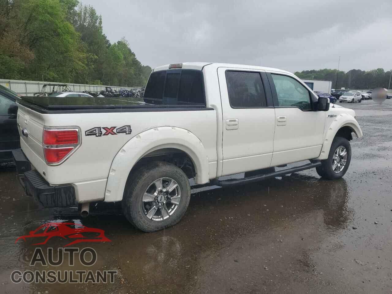 FORD F-150 2010 - 1FTFW1EV5AFA44609