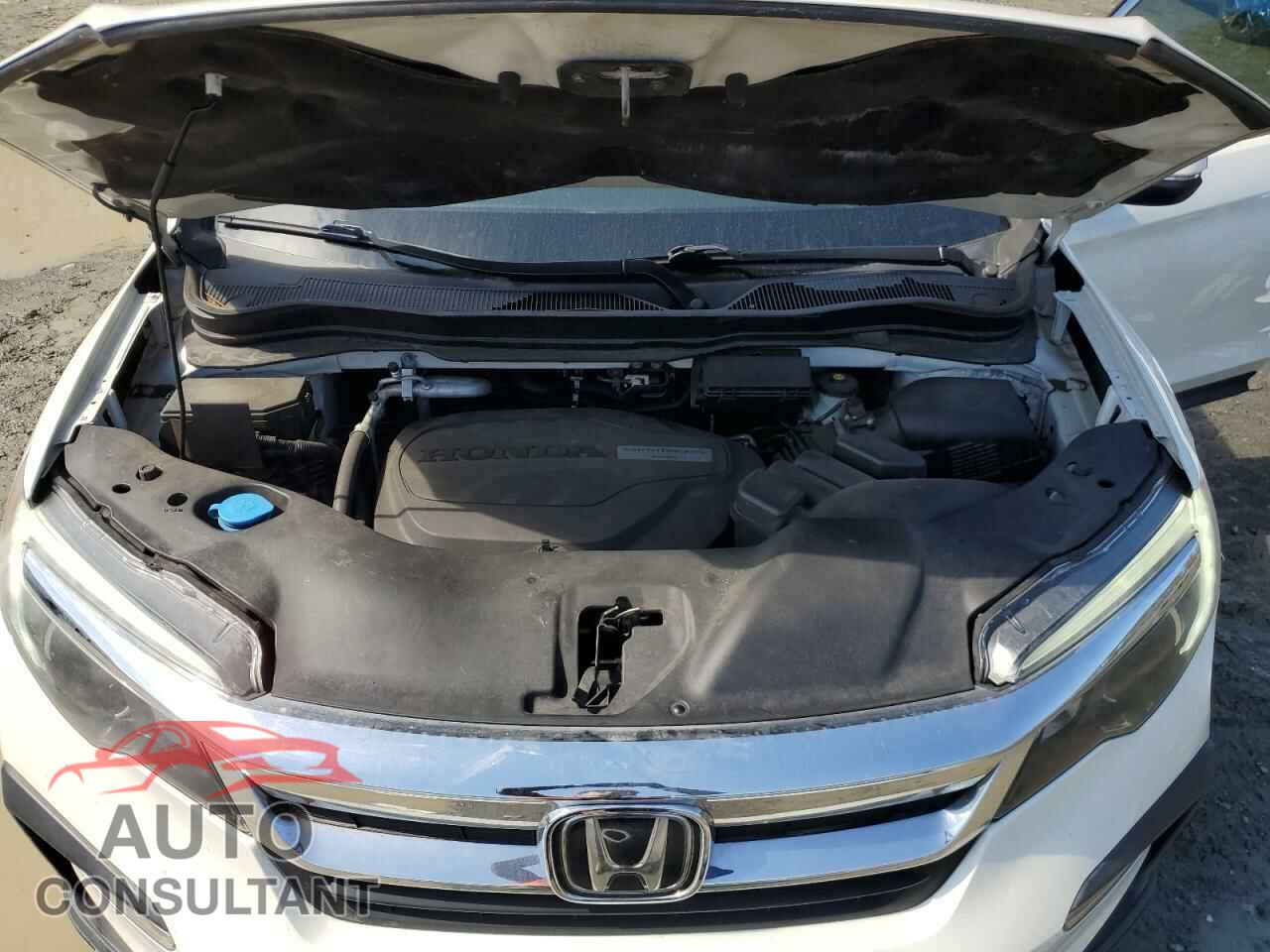 HONDA PILOT 2019 - 5FNYF5H36KB019797