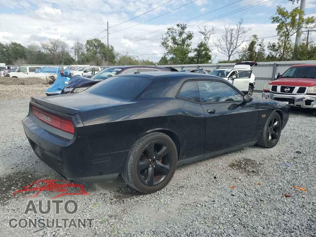 DODGE CHALLENGER 2014 - 2C3CDYBT2EH307622