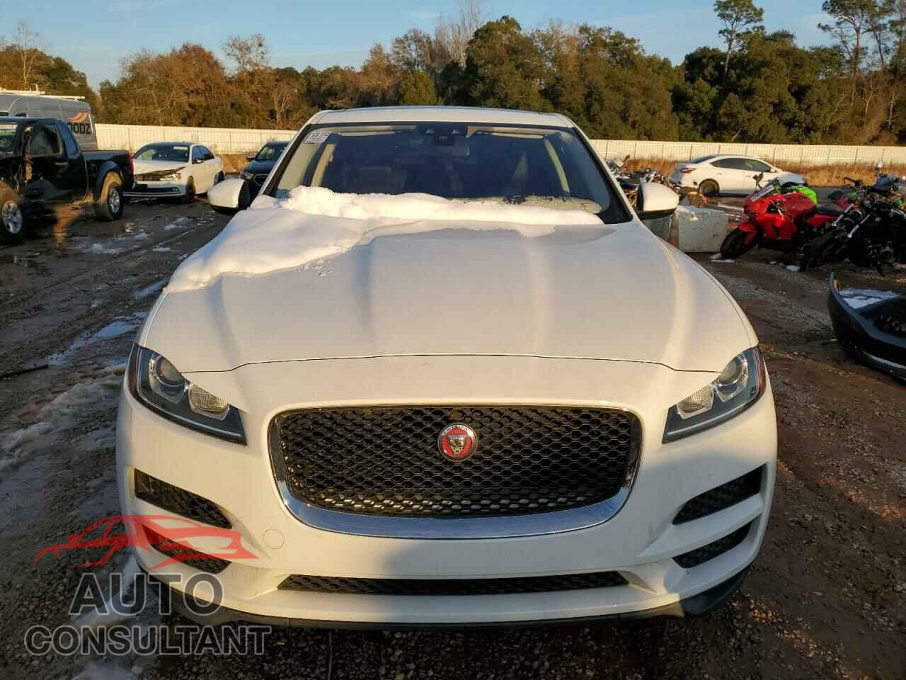 JAGUAR F-PACE 2017 - SADCS2BN8HA085529