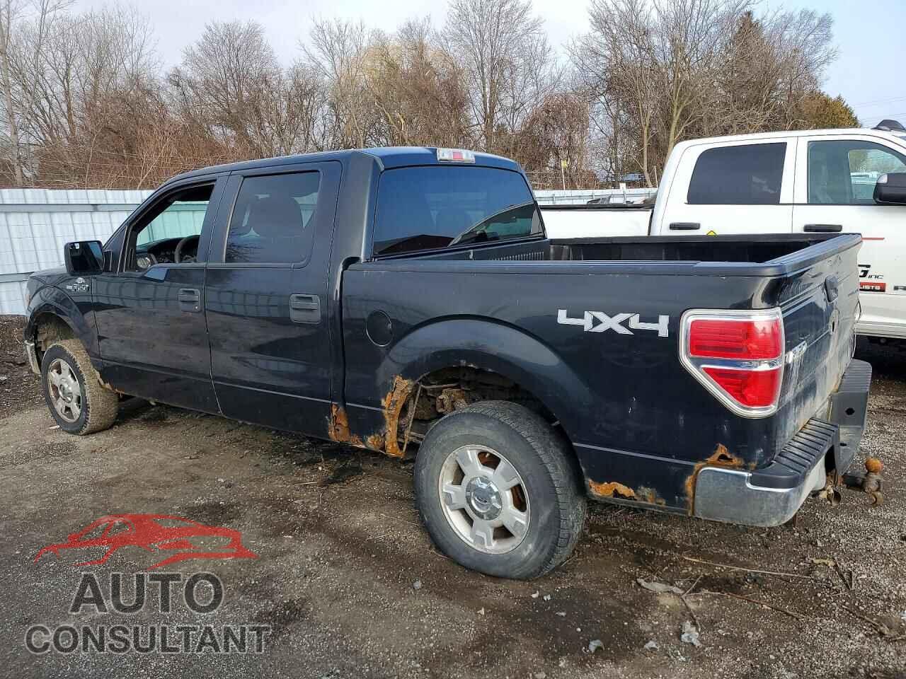 FORD F150 2012 - 1FTFW1EF4CFB30859