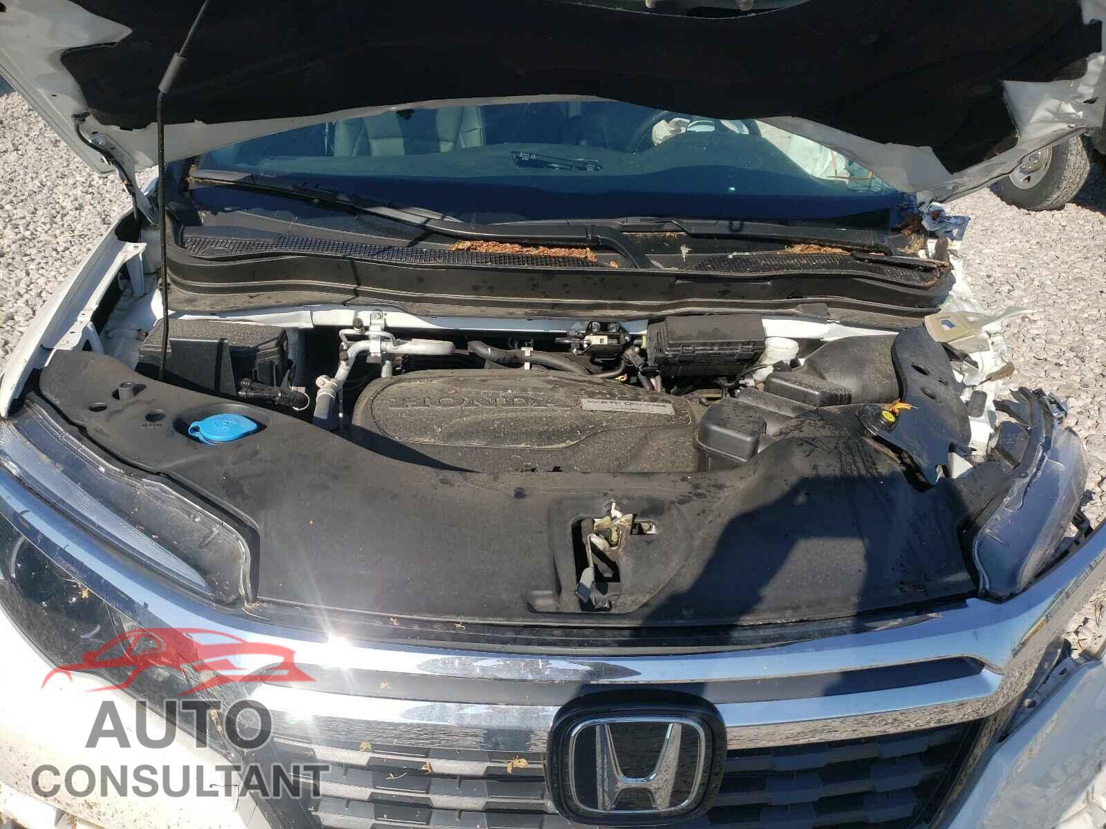 HONDA RIDGELINE 2020 - 5FPYK3F7XLB004671